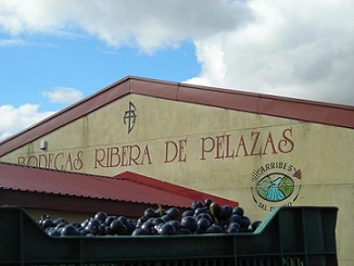 bodegasriberadepelazas2