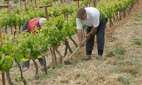 bodegaquintalasvelas1