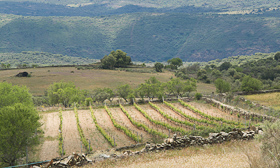 bodegaquintalasvelas2