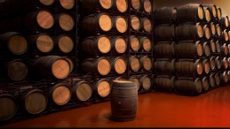 bodegasvinosdearganza1