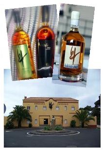 bodegasvinosteneguia2