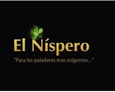 Logo from winery Bodegas el Níspero - Bodegas Eufrosina Pérez Rodríguez