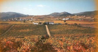 bodegasperezcarames2