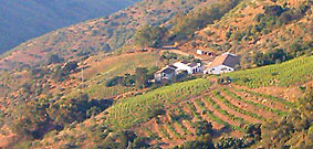 bodegascasadeguardia2