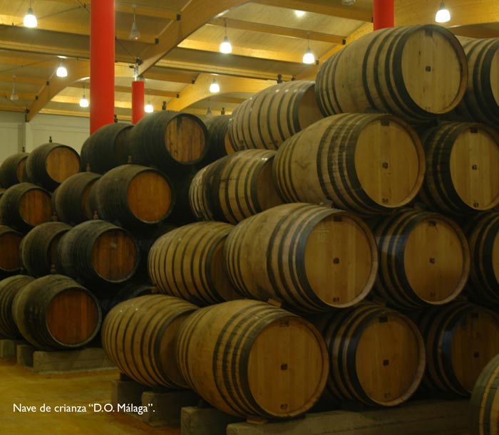 bodegasmalagavirgen2