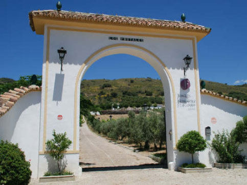 bodegasjf1