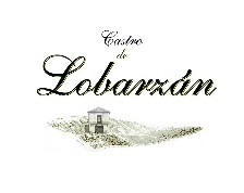 Logo from winery Bodega Castro de Lobarzán