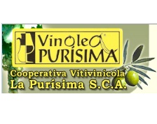 Logo de la bodega Cooperativa Vitiv. la Purísima, S.C.A.