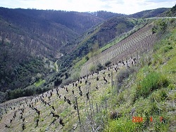 bodegadjpalacios2