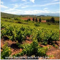 bodegasvinosvaltuille1