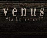 Logo de la bodega Venus la Universal, S.L.