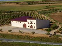 bodegasvaldelares2