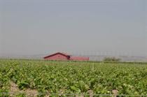 bodegasgarciaburgos2