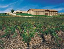 bodegasfamiliabelasco2