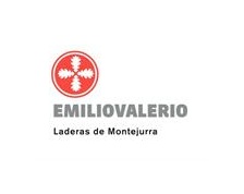 Logo from winery Emilio Valerio-Laderas de Montejurra
