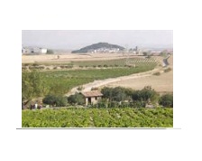 bodegashaciendauvanis2