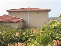 bodegasfernandezdearcaya2