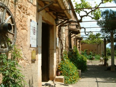 bodegasantonionadal1