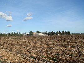bodegasantonionadal3