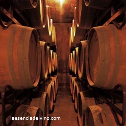 bodegascavasferret3