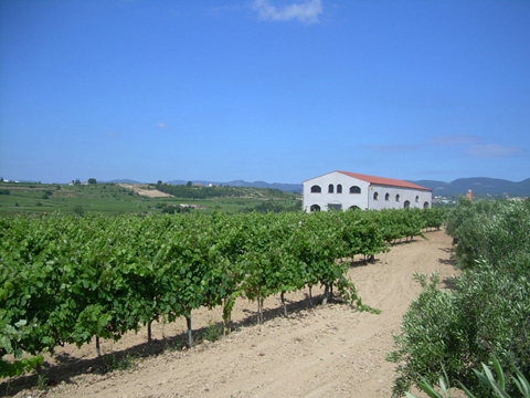 bodegasmasuberni2