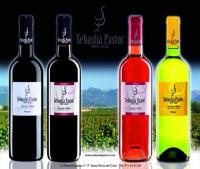 bodegassebastiapastor_botella