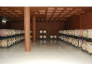 bodegasbegastri2