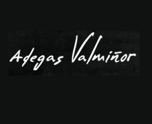 Logo from winery Adegas Valmiñor, S.L.