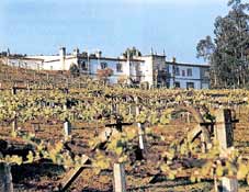 bodegasagrodebazansa2