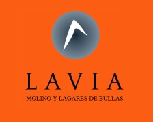 Logo from winery Bodega Molino y Lagares de Bullas