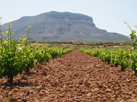 bodegassanalejandro3