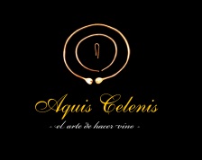 Logo de la bodega Fernando Dieguez Otero