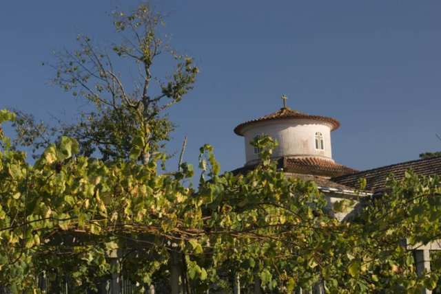 bodegasadegaluz1