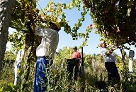 bodegasadegaluz3