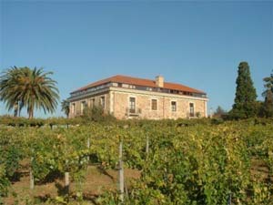 bodegaspazodegalegos1