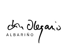Logo de la bodega Bodegas y Viñedos Don Olegario, S.L.