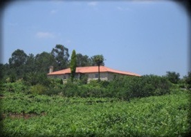 bodegaspazoasbarreiras1