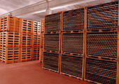 bodegasaragonesas3