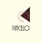 Logo from winery Bodega Pincelo, S.L.