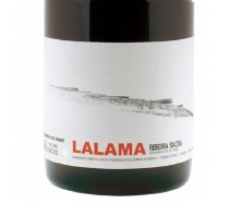 bodegasdominiodobibei_botella