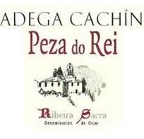 Logo from winery Adega Cachín