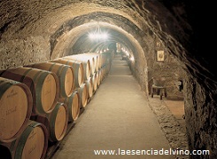 bodegasvalsotillo1