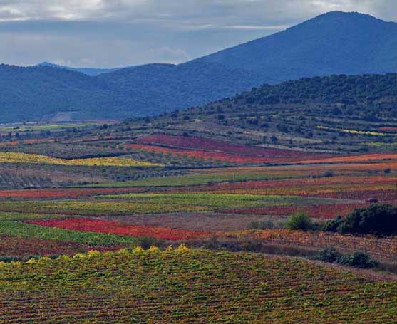 bodegasjordandeasso3