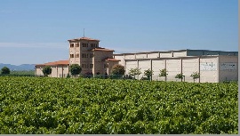 bodegasestebanmartin1