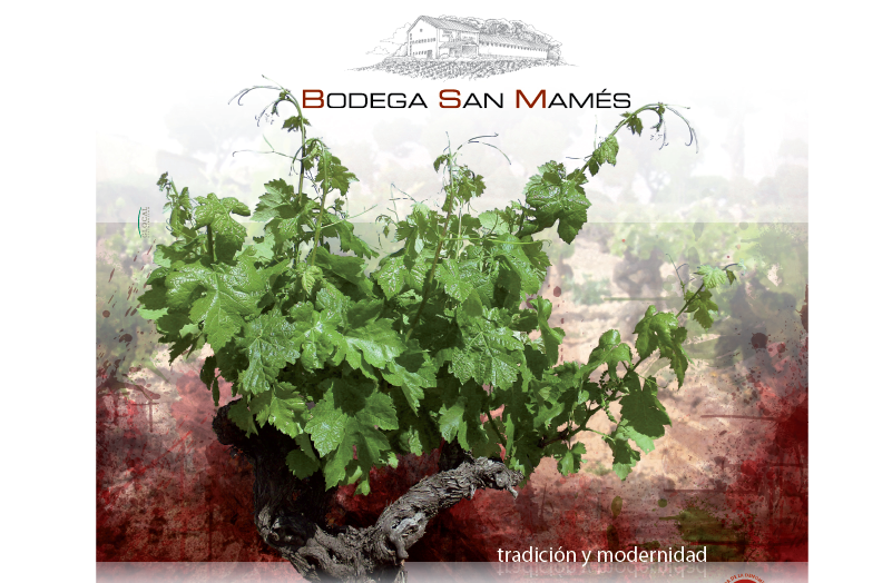 Logo von Weingut Bodega San Mamés, S.C.