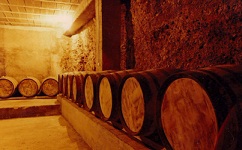 bodegasvalerotorres1