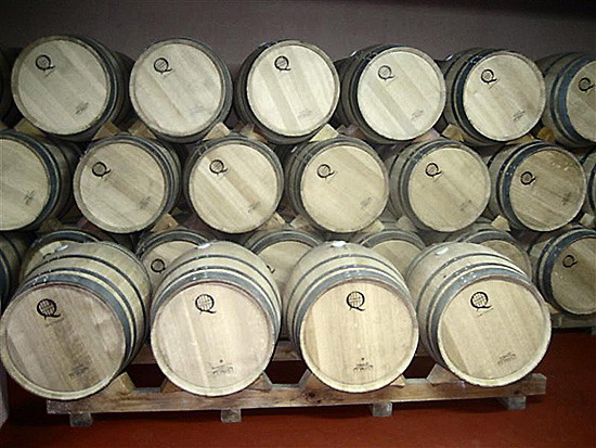 bodegasarcocuriel4