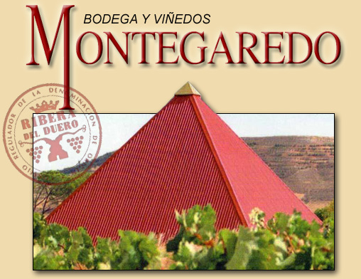 Logo de la bodega Bodegas y Viñedos Montegaredo