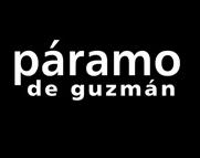 Logo de la bodega Nuestras Cepas, S.L.