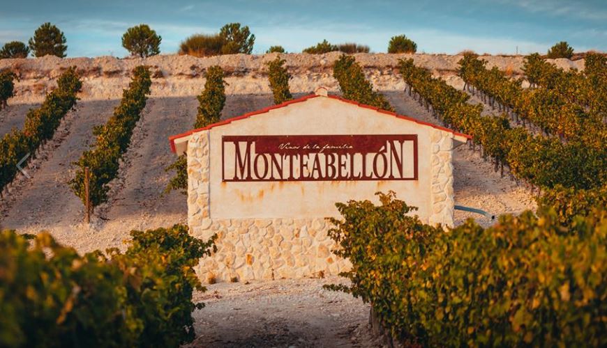 bodega_monteabellon_vinedo